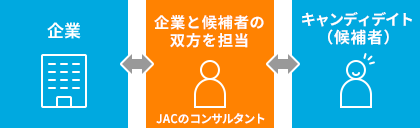 両面型